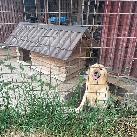 Privat Luna Ľubeľa Exterior foto