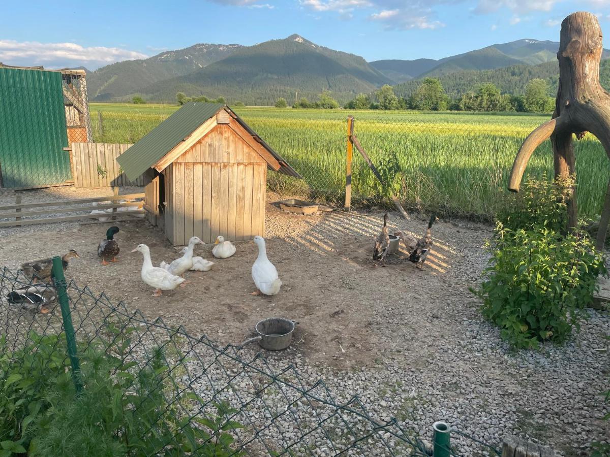 Privat Luna Ľubeľa Exterior foto
